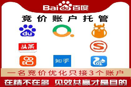 SEM服务公司成功案例解读